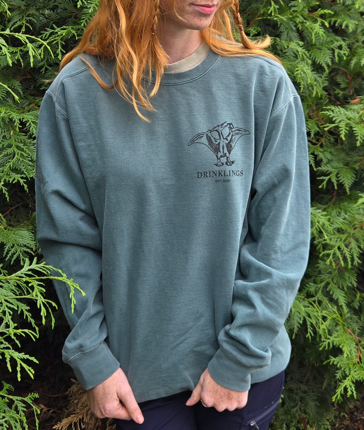 The Drinklings Bookshelf Sweatshirt